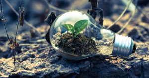 You Can Make Every Day Earth Day